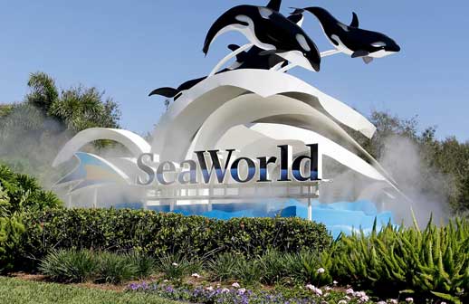 SeaWorld Entertainment muda de nome 