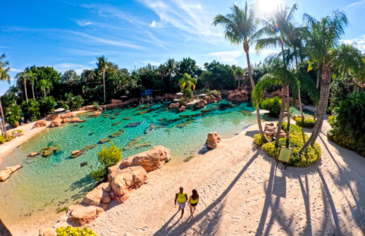 Oferta de Discovery Cove para o fim de ano