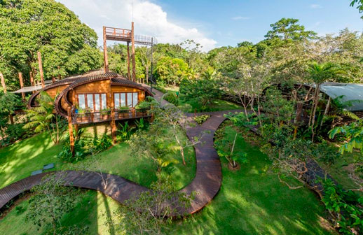 Amazônia e Pantanal recebem prêmios internacionais e reforçam liderança