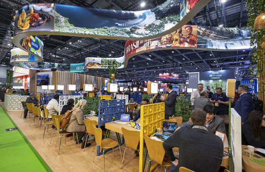 Com foco no Plano Brasis, Embratur reforça presença internacional para promover o turismo brasileiro em 2026