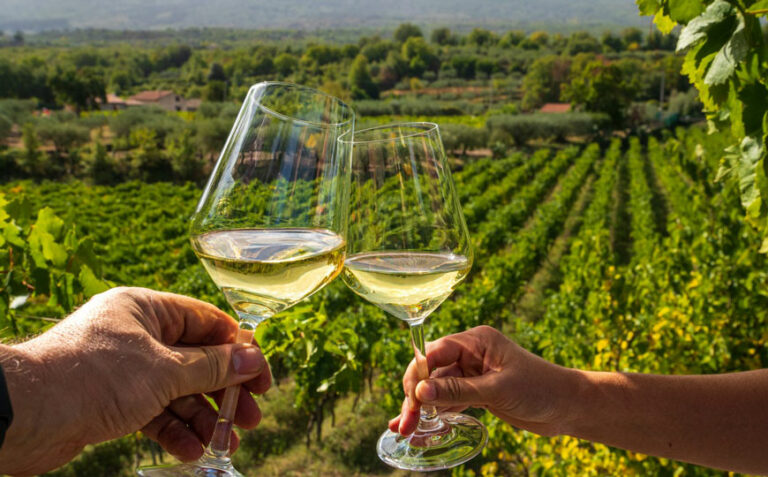 Enoturismo ganha força e governo busca transformar vinícolas em destinos turísticos